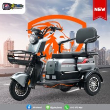 Lion EV รถ3ล้อไฟฟ้า รุ่น LNE-X63 สีเทา