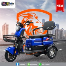 Lion EV รถ3ล้อไฟฟ้า รุ่น LNE-X63 สีน้ำเงิน