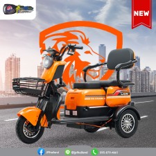 Lion EV รถ3ล้อไฟฟ้า รุ่น LNE-X63 สีเขียว